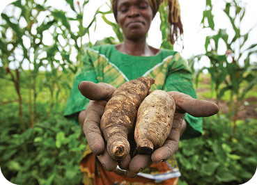 Sustainability local communities