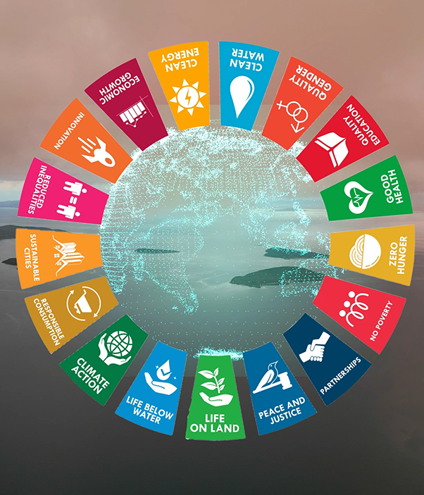 UN sustainable development goals