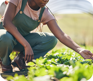 01_Hight-quality-Ingredients