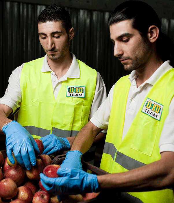 es-ko-procurement-food-supply-storage-warehouse-logistics