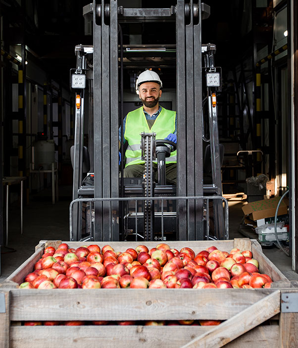 es-ko-procurement-food-supply-storage-warehouse-logistics3