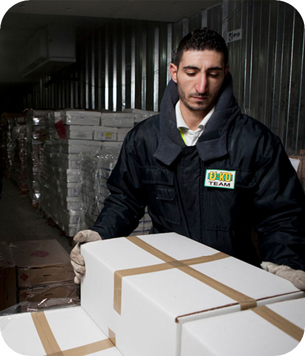 ES-KO-warehousing-services-procurement-supply-chain-management