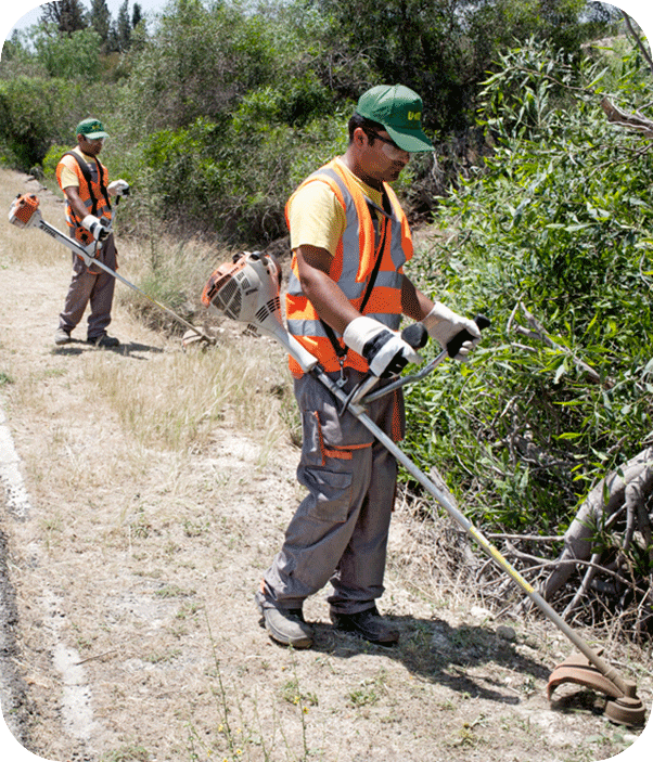 gardening-landscaping-services-maintenance-services-professional-landscaping